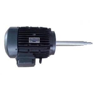 德國Knoll 泵用電機(jī) AMHE132SYA2  