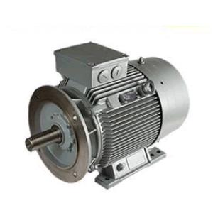 Lonne電機(jī) 7AA100L02
