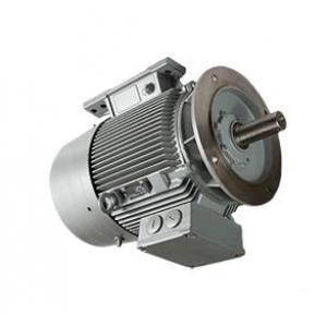 Lonne電機(jī) 1TZ9 A 100L02