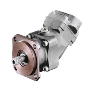 hawe軸向柱塞電機(jī) M60N-064BSFN-S100-G