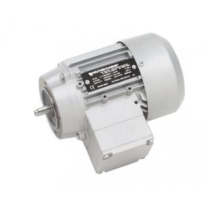 Walther Flender三相交流電機(jī) B1463B-1500 L00908
