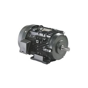 TOSHIBA電機(jī) IKKH3-FCKLA21E 7.5kW 2P原裝進(jìn)口