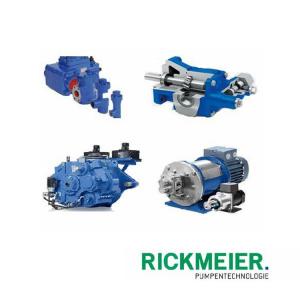 RICKMEIER齒輪泵 R65/315 FL Z
