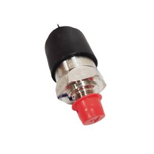 GEMSPS41系列壓力開(kāi)關(guān) PS41-20-4MNS-A-FLS18-IP