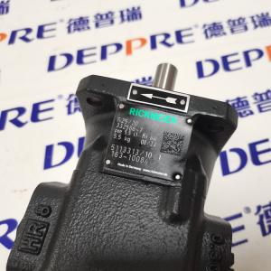 RICKMEIERR25/20 FL-Z-DB16-W-G1-R-SO 齒輪泵