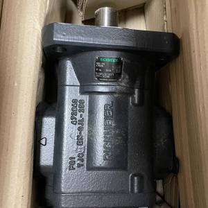 RICKMEIERR65/315 FL Z 齒輪泵