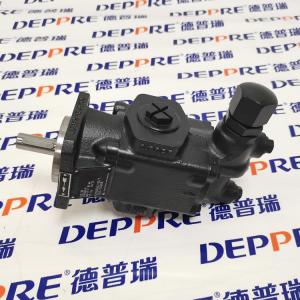 RICKMEIER R25/20 FL-Z-DB16-W-SAE1-R-P  齒輪泵