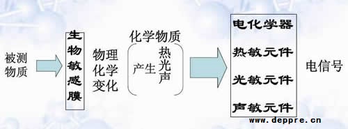 指紋識別傳感器主導(dǎo)全球生物識別硬件市場