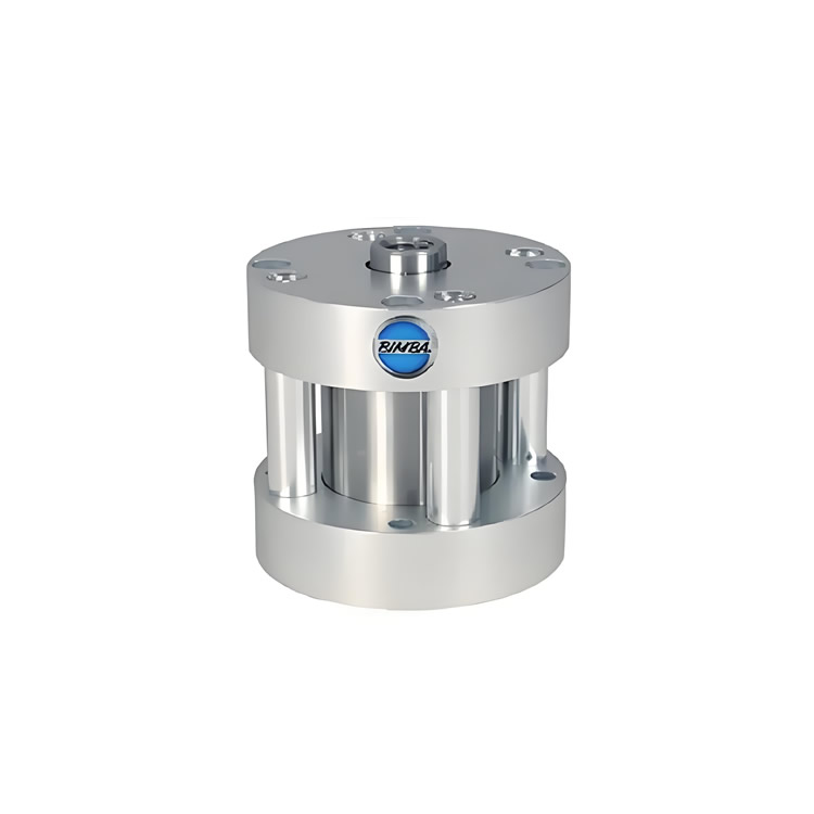 Bimba_FSM-0930-MT_001A.jpg