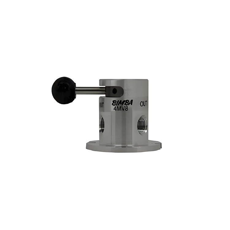 Bimba_3MV8_001A.jpg